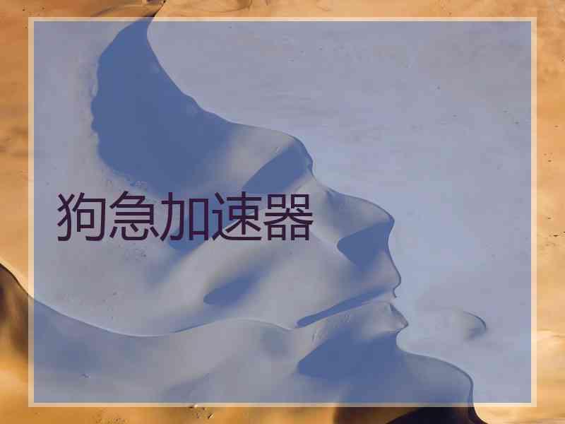 狗急加速器